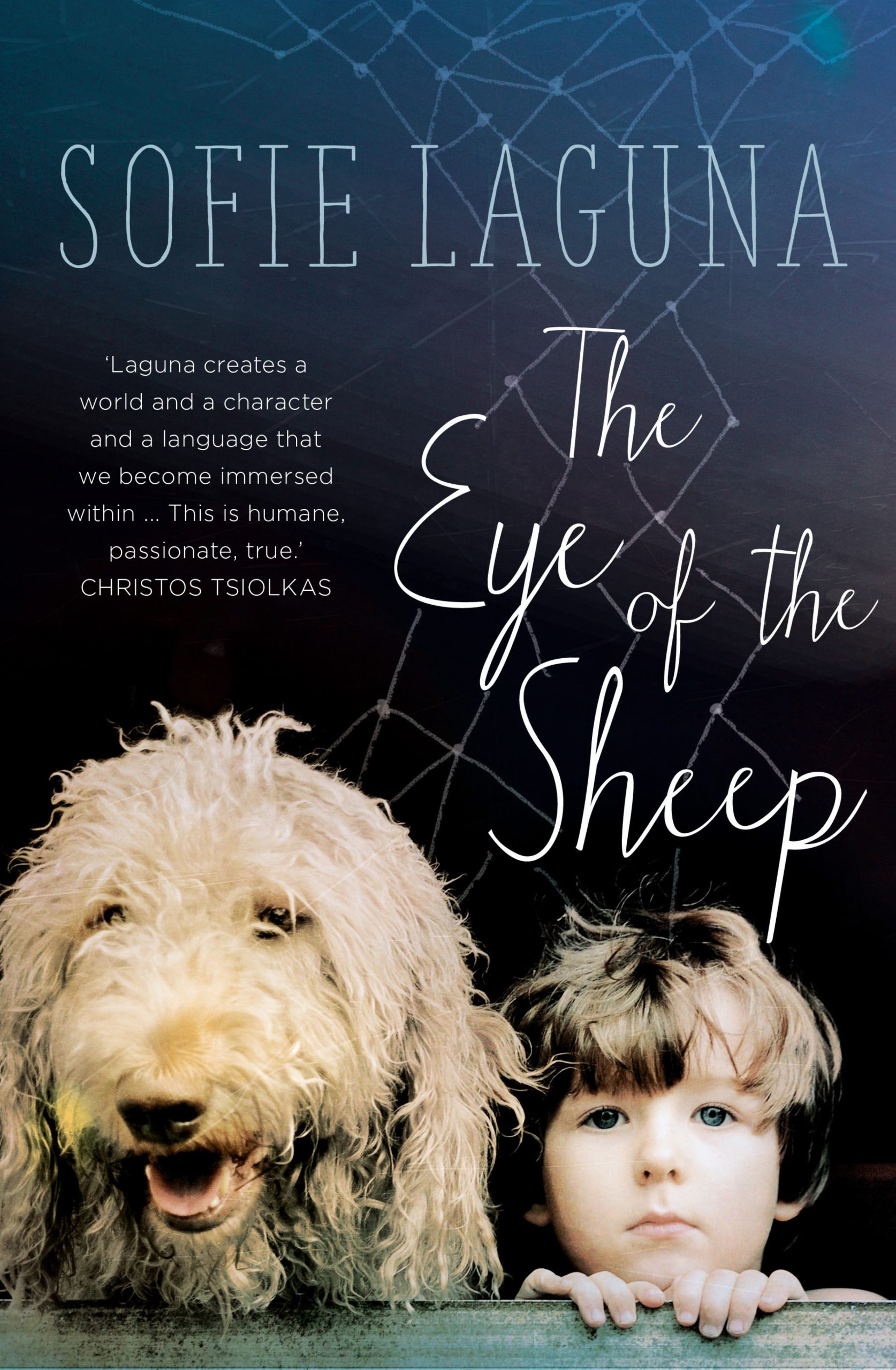 The Eye of the Sheep
